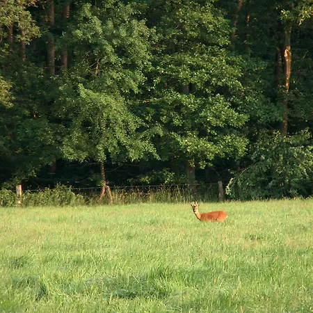 Hotel Ridder Bad Laer